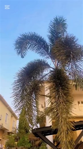 Ijele lovers on Instagram: "@judyaustYuledochie, you are more than beauty.♥️♥️❤️💗💋❣️💞🔥 You are strength, grace, and intelligence wrapped in one powerful woman. Your beauty goes far beyond the physical, it lives in your confidence, your resilience, and your kind heart. You inspire so many just by being yourself, standing tall, and owning your truth.💯❤️💗♥️ You are a woman of substance, a Capricorn queen 👑 with brains, purpose, and calm power. In a world full of noise, you remain grounded, e