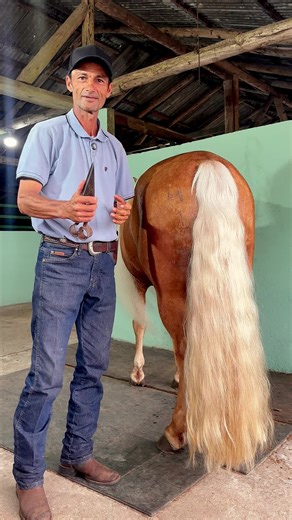 The Art of Blacksmithing for Horseshoes