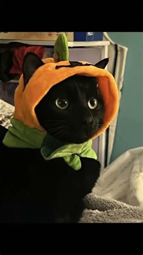 Midnight groovin’ 🎶