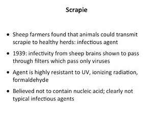 Usual Infectious Agents (Lecture 24)