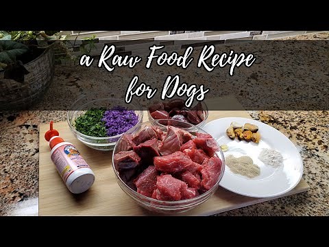 Raw Dog Food Recipe: Making Raw Food for my German Shepherd Dog