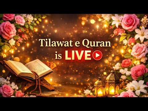 🥀Tilawat _e_Quran 🥀 is live! Find The Different Number #mathslive#mathspuzzle #livenews #viral