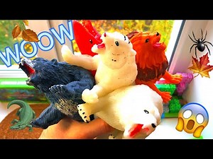 🐶🐸 SQUISHY ANIMALS! Super Fun Stress Relief Toys! 🐰🦊