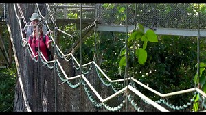 Guyana Destination Video: Wildlife (NEW VIDEO) Visit Guyana Today! | Visit Guyana