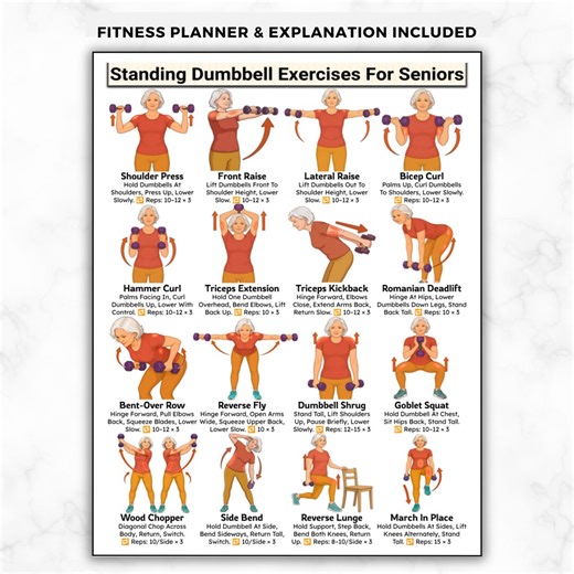 Standing Dumbbell Exercises for Seniors, Full Body Dumbbell Home Strength Training Workout, Elderly Low Impact at Home Fitness Routine Guide - Etsy
