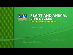 Plant and Animal Life Cycles - Overview