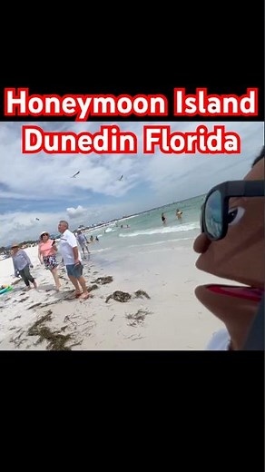 Honeymoon Island Dunedin Florida Walking Tour | Best Florida Beach for all Ages