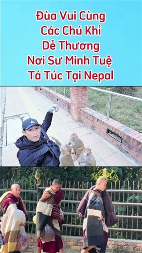 Các Chú Khỉ Dễ Thương Nơi Sư Minh Tuệ Tá Túc Tại Nepal #suminhtue