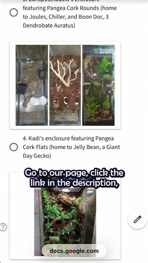 Don’t forget! Voting for the Pangea 2026 Build-Off is live!