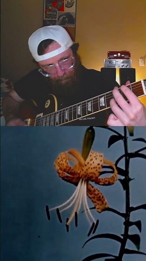 Vintage Flower Time-Lapse Rescored | Prelinger Archives