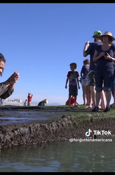 How did this shipwreck happen? When does it appear? #documentary #ocean #shipwrecks #storytelling #photography
