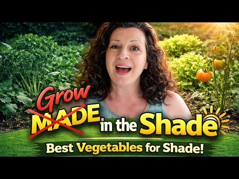 Stop Wasting Your Shade! Grow THESE Vegetables Instead 🌿
