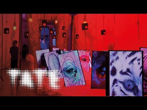 Heather Phillipson – ‘No fixed starting point, only accumulation’ | Turner Prize Nominee 2022 | Tate