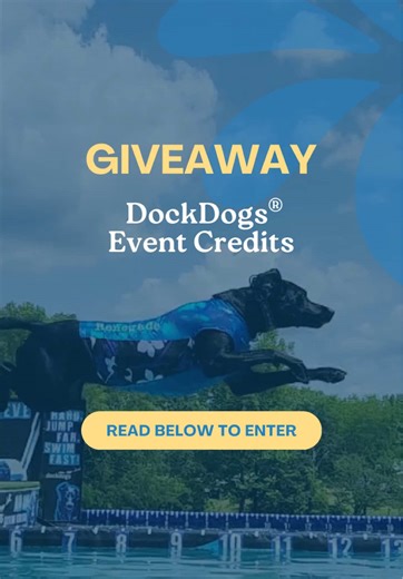 GIVEAWAY ALERT 💥 We’re celebrating National Dog Day with a TikTok-exclusive giveaway! 🎉 Like this post, follow our account, and drop your favorite thing about DockDogs®️ in the comments for a chance to win a wave of DockDogs® credits. Three (3) winners will be announced Friday, August 29 via our Story DM 👀🐾 Good luck! Open to individuals 18 . No purchase necessary. Giveaway runs 8/26/25 at 9:00AM PT – 8/28/25 at 11:59PM PT. Three winners will be chosen at random on 8/29/25 to receive one (1)