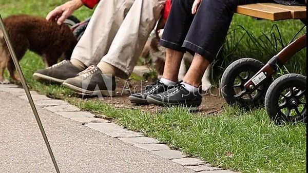 Man and a woman sit on a bench with a dog