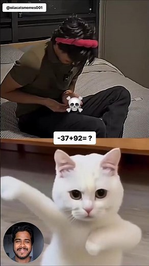 Tell me the right answer || Oiia Cats Memes || #cat #memes #dance #trending #tiktok
