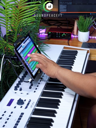 iPad Disponibles con más de 2000 Samples y más de 100 Ritmos Profesionales, a un Precio de Oferta!✅ 🛵 Envío gratis a todo el país! ✅ Pago contra entrega (Pagas al recibir tu iPad) ✅ WhatsApp al: 31192782 Contamos con librerías de: ✅Yamaha PSR 550 ✅Korg Triton Studio ✅Korg N364 ✅Korg 01W ✅Korg M1 ✅Korg D50 ✅Pianos para centro, pianos de adoración y Worship Pads. ✅Instrumentos Reales ✅Sonidos de Jacobo Reynoso, Banda Transfiguración, etc. ✅Korg PA1000 ✅Korg PA700 ✅Yamaha PSR900 ✅Korg Kronos ✅Korg