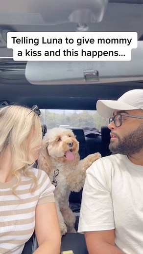 Luna The Mini Cockapoo on Instagram: "Did not expect that… 😳😳 #dogs #puppylove #minicockapoo"