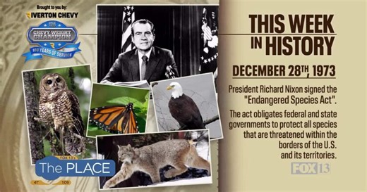 During this week in history, the U.S. started protecting animals at risk