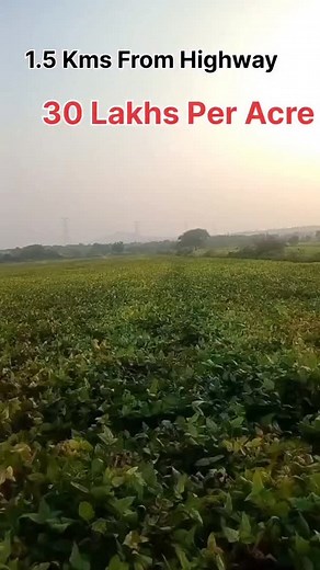 81 tv telugu on Instagram: "📍 Agricultural Land for Sale – Peddakothapally Mandal, Nagarkurnool District 📌 Land Size: 2 Acres 📌 Location: About 1.5 km from Main Highway (easy access for vehicles) 📌 Soil Type: Red soil – common in Nagarkurnool district and suitable for dry-land crops like cotton, red gram, maize, castor, groundnut etc. ￼ 📌 Asking Price: ₹30 Lakhs per Acre (negotiable for direct buyer) 📌 Total Price: ₹60 Lakhs for 2 Acres 📌 Owner/Seller: Direct from Farmer #agrirealestate #
