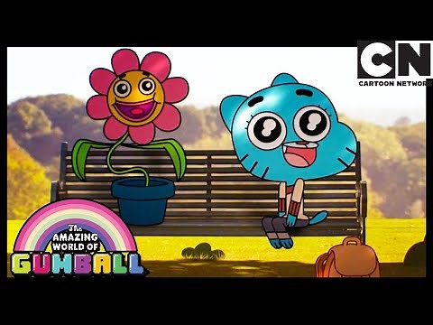 The Flower | Gumball | Cartoon Network