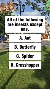 17K views · 535 reactions | All of the following are insects except one. A. Ant B. Butterfly C. Spider D. Grasshopper #facts #funfact #trivia #geography #fblifestyle | Learn English | Facebook