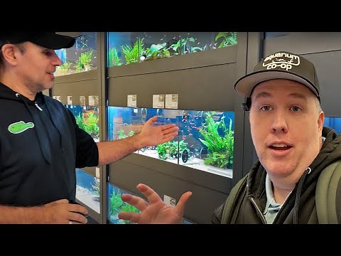 Exploring Tons of Fascinating Fish Species at Aquarium Store in Germany [Zoobox Tour]