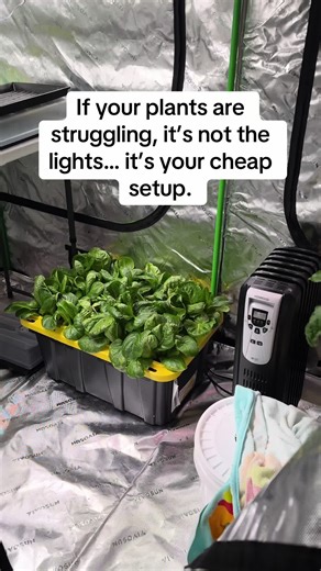 If you’re serious about indoor growing, a VIVOSUN grow tent is one of those upgrades that instantly changes the game. The heavy-duty canvas blocks all light leaks, the reflective interior boosts plant growth, and the strong metal frame actually holds your lights and filters without sagging. This setup is perfect for beginners and experienced growers who want total climate control, cleaner grows, and better yields year-round, especially when outdoor conditions aren’t ideal. Whether you’re growing