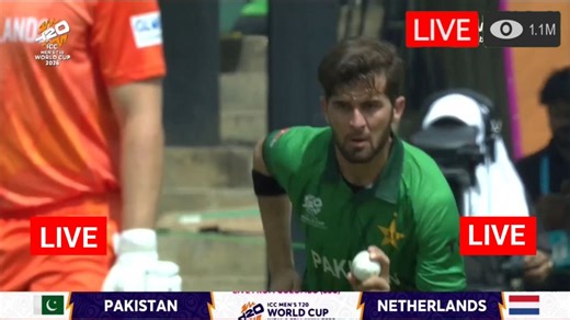 L.ive Cricket - PAK vs NED T20 Pakistan vs Netherlands L.ive C.ricket T20 world cup 2026 | L.ive C.ricket Match Today 2025 | Gazi TV, GTV Sports L.ive S.treaming 2026 | T Sports L.ive Scores Updates Scorecard | Netherlands Pakistan L.ive C.ricket T20 Match Today Online S.treaming Now 2026 আজকের লাইভ ক্রিকেট টি–টোয়েন্টি ম্যাচ | BPL Live Match Today