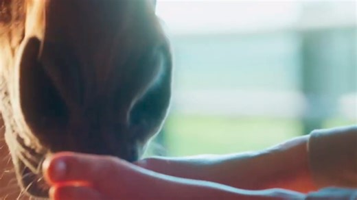 Zoe y Tempestad Tráiler