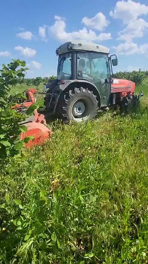 Tocător de #resturi vegetale și #crengi cu #disc lateral 🔥 senzor, sistem hidraulic și de răcire ▪ grosimea ramurilor până la 7-8 cm ▪ lățimea de lucru 160-220 cm orice tip de teren tractor de la 45CP 🔥 controlul buruienilor și tăieri de calitate funcționare omogenă și economie de motorină Info la nr. 37379707071 #tocator #recoltare #combina #мульчер #alun #nuc #migdal #tractor #livada #resturivegetale #tehnica #utilajagricol #moldovafruct #fructe #agrobusiness #euroalun #сельхозтехника #фунду