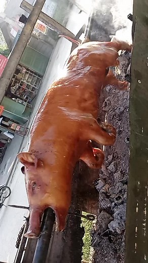 Perfectly Roasted Whole Pig Recipe Over Open Flame