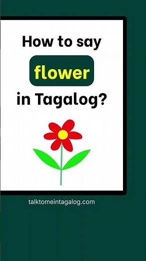 How to Say FLOWER in Tagalog? | Filipino Lessons for Beginners