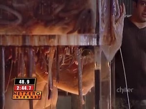 Fear Factor S04E30 Team Transfer; Hagfish Transfer; Cable Stand