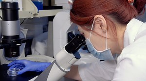 Isolation of Mouse Pancreatic Endothelial Cells