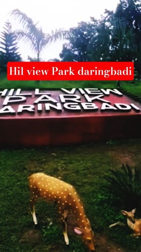 hil view Park daringbadi mini vlog#kandhamaldaringbadi#hilviewParkdaringbadi#firozPradhanvlog