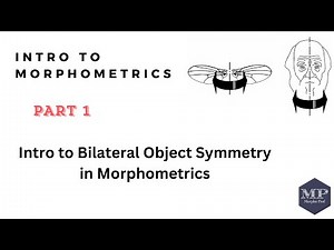 Part 1. Intro to Bilateral Object Symmetry in Morphometrics