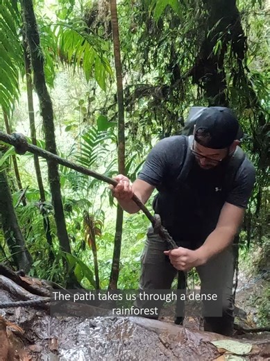 Little adventure in Boquete (Panama). Hike at Las Tres Cascadas: Part 1. #jungle #outdoor #hiking #boquete #panama