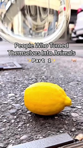 People who turned themselves into animals🐖 #animals #turned #transform #transition #goat #humangoat #human