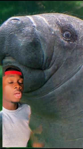 12K views · 1K reactions | Making this video took ten years off my life and two inches off my hairline #theory#cursed#nature | Casual Geographic | Facebook