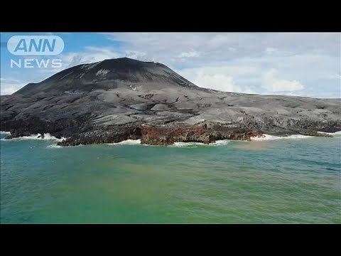 西之島の最新映像 調査団波打ち際でカニ発見(2021年9月10日)