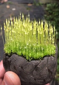 The Beauty Of Nature | M&N DIY