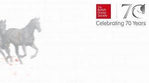 18K views · 86 reactions | LAST CHANCE | Learn ways to improve your coaching techniques, welfare best practices for your horse & how to keep yourself safe when riding | British Horse Society | Facebook