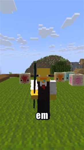 THIS IS THE MOST FUN THING IN MINECRAFT