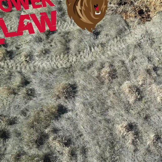 "Shift 'em" logs with the Rata Power Claw! #powerclaw #rataequipment #...