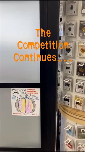 🌟 Pumpkin Competition - Round 2! 🌟 We have stuck all the lovely coloured pumpkins up around the store. Count as many as you can find when you are in shopping, then fill in a small slip of paper at the counter to be in with a chance of winning a prize worth £25! Competition is open all week until end of play on Friday 31st October! Have fun and good luck! #wildwoodpets #Competition #round2 #halloween #shopstamford | Wildwood Pets Stamford