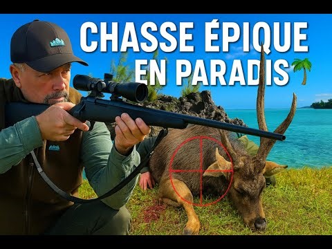 Séjour de chasse au cerf Rusa à l'île Maurice