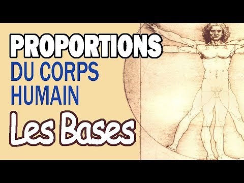 PROPORTIONS DU CORPS : Comment dessiner correctement le corps humain