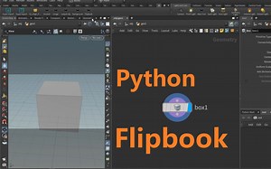 Houdini Python 调用 Flipbook 进行拍屏