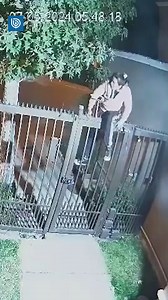 Una delincuente terminó semidesnuda luego de un intento de robo ocurrido durante el pasado martes en Maipú. La situación se produjo en el condominio Cerro Murallón, hasta donde llegó una pareja de antisociales. Tras recorrer el lugar por algunos minutos, la mujer decidió saltar la reja perimetral para acceder al pasaje y así cometer un robo. Según se aprecia en imágenes de una cámara de seguridad, la delincuente no contaba con que su ropa quedaría enganchada en las puntas de fierro, terminando s